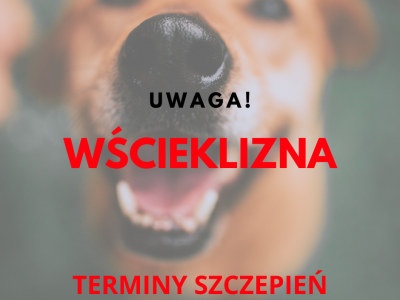 Ilustracja przedstawia plakat o terminie szczepień psów