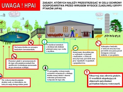 Plakat przedstawia zasady, których należy przestrzegać w celu ochrony gospodarstwa przed wirusem wysoce zjadliwej grypy ptaków (HPAI)