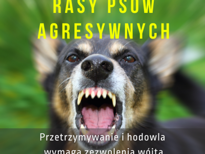 Obraz ilustruje plakat o rasach psów agresywnych
