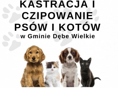 Obrazek dotyczący artykułu MAZOWSZE DLA ZWIERZĄT – BEZPŁATNA KASTRACJA I CZIPOWANIE PSÓW I KOTÓW